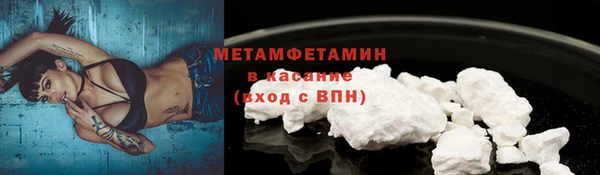 сатива Аркадак