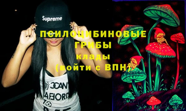 spice Армянск