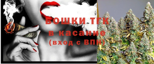 сатива Аркадак