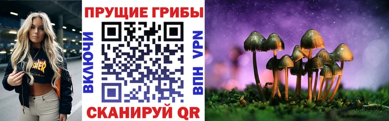 kraken зеркало  дарнет шоп  Медногорск  Галлюциногенные грибы Magic Shrooms 