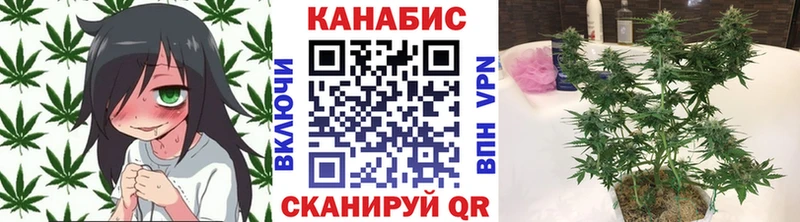 Канабис OG Kush  Медногорск 